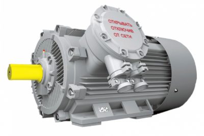 Электродвигатели серии 2АИМУР 500 (расширенная серия)